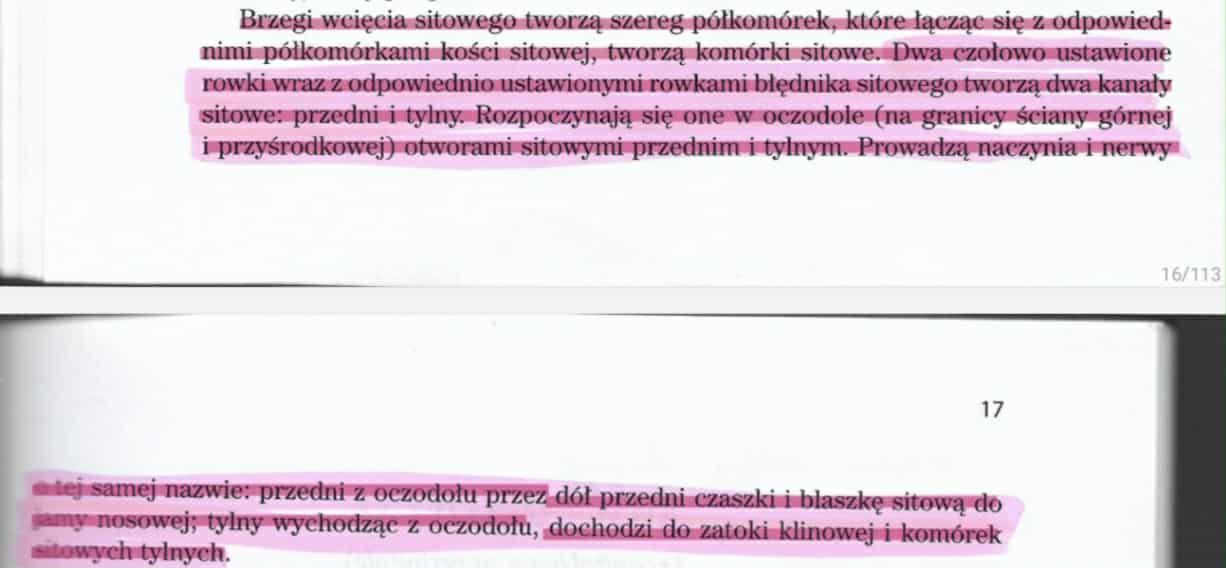 knowt flashcard image