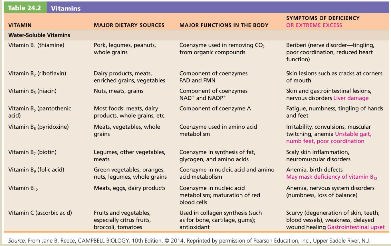 <p>Vitamins and certain trace elements are essential components of the diet required in very small amounts</p><p class="p2">➢ Deficiency of individual micronutrients classically results in typical symptoms and signs according to the vitamin or trace element involved</p><p class="p2">such as scurvy from vitamin C deficiency</p><p class="p2"> and rickets due to vitamin D deficiency. </p><p class="p2">Chronic deficiencies can lead to more severe health issues, impairing overall health and bodily functions.</p>