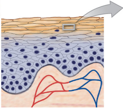 <p>What is being labelled?</p>