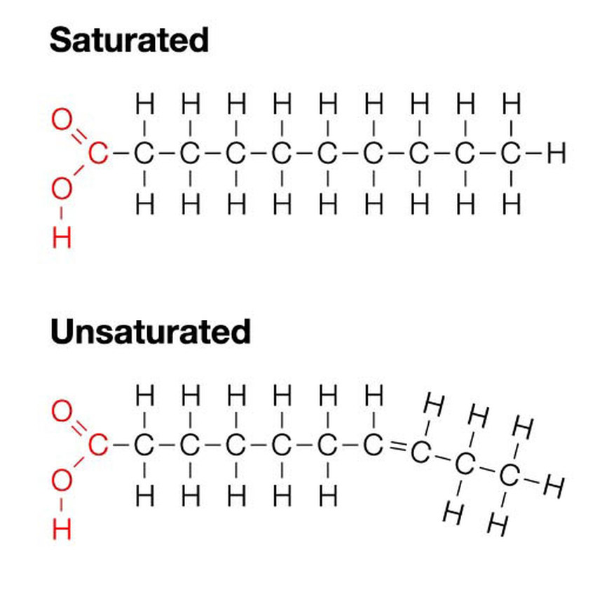 <p>Organic acids (which means they can lower the pH of things) they have a carboxyl (-COOH) group joined to a hydrocarbon tail - they are a type of carboxylic acid.</p><p>Not a polymer because it doesn’t have the same units repeating itself.</p>