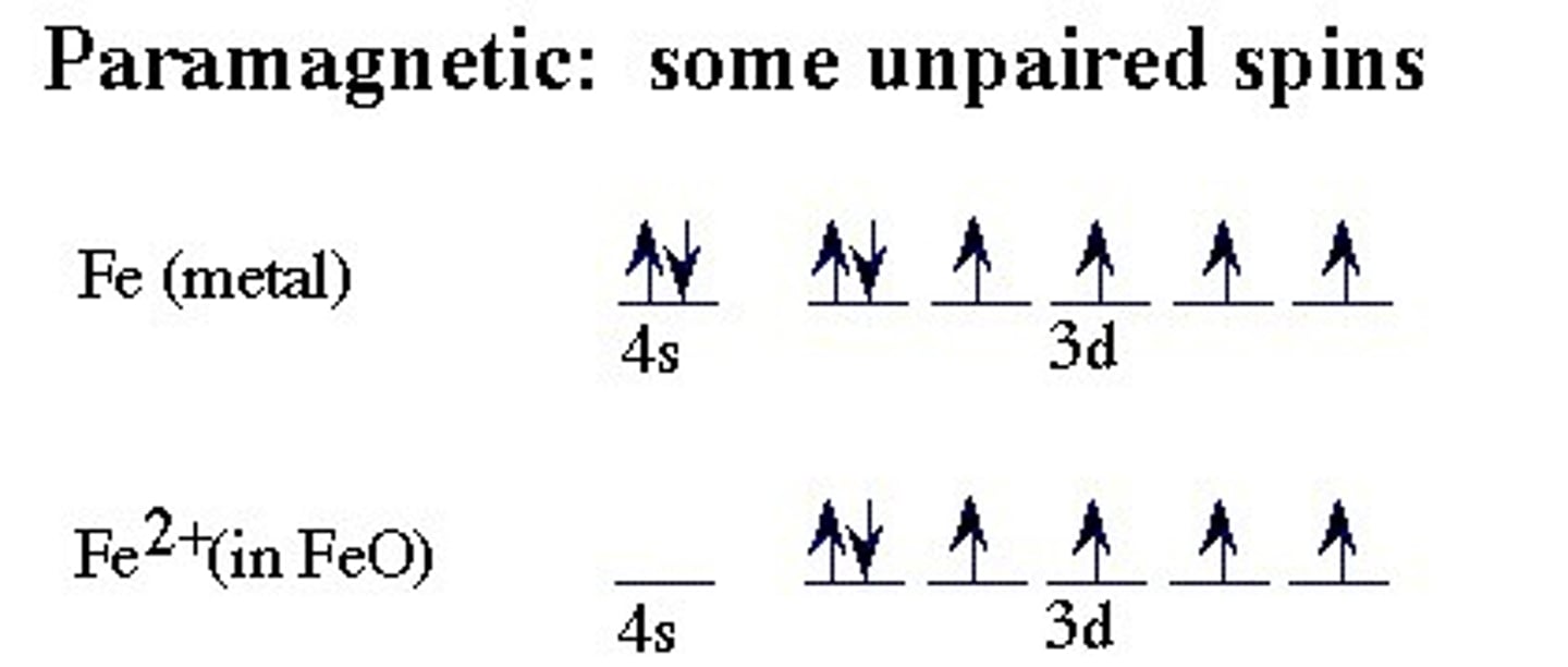 <p>Atom or substance containing unpaired electrons and is consequently attracted by a magnet.</p>
