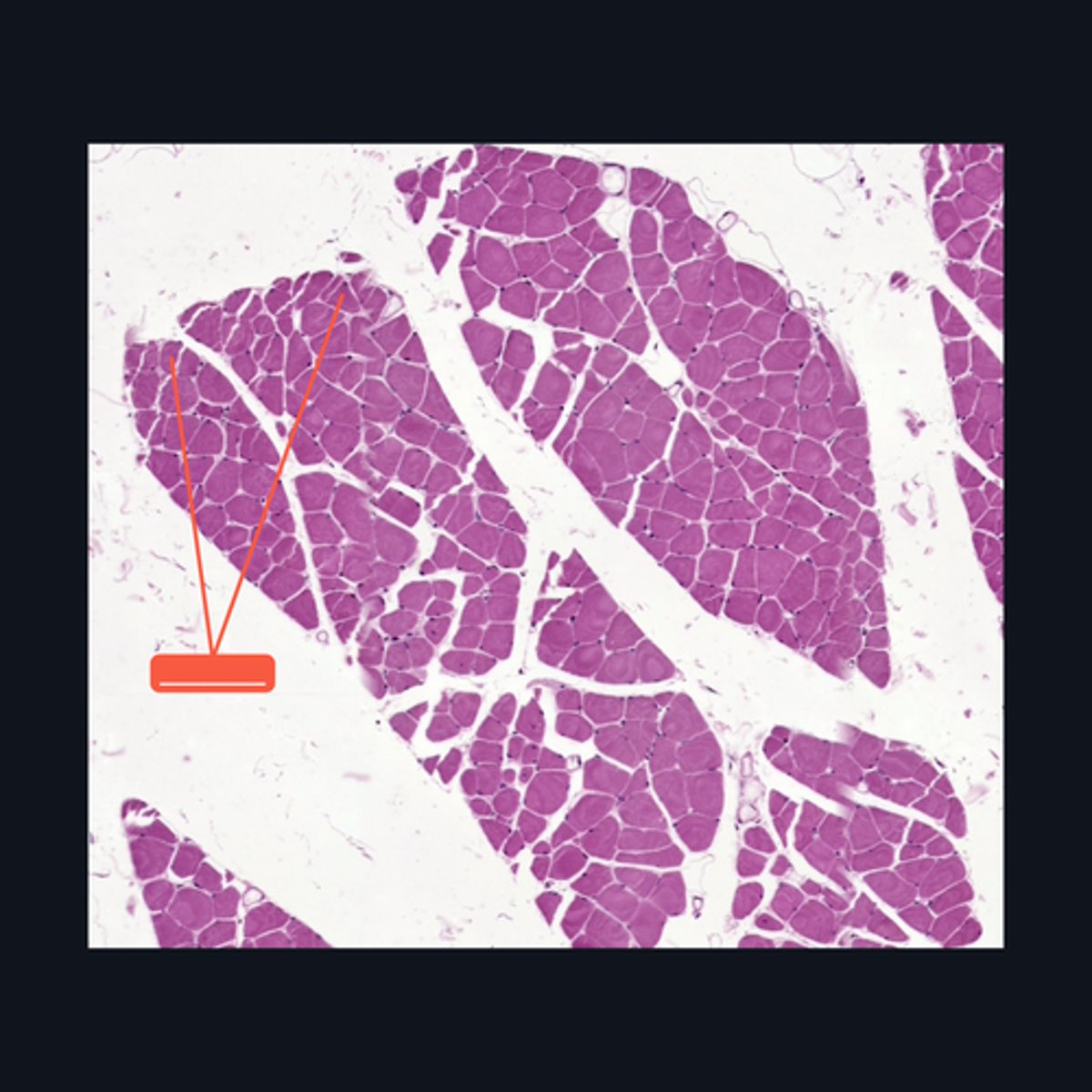 <p>Identify the structure</p>