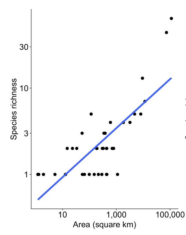 <p>Species richness increases with area. </p>