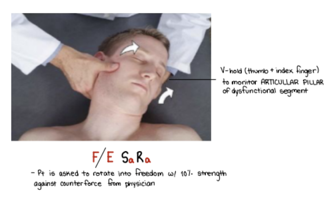 <p>Remember that cervical 2-7 has type 2 mechanics.</p><ul><li><p>Use V-hold to monitor articular pillars</p></li><li><p>Patient Lying down</p></li><li><p>This technique you will set F/E SARA</p></li><li><p>You will encourage patient to rotate head in opposite direction with just 10% of strength.</p></li></ul><p></p>