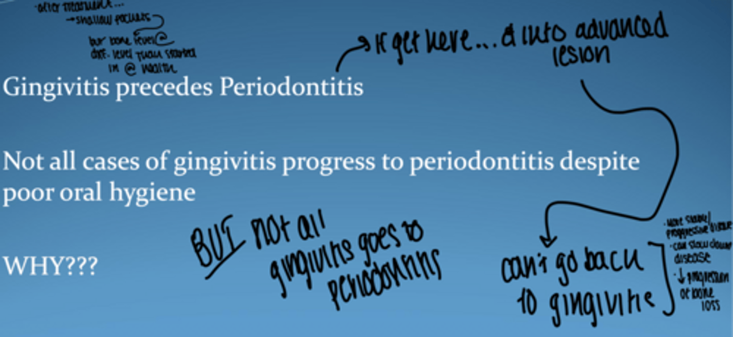 <p>no (despite poor oral hygiene)</p><p>depends on host susceptibility</p>
