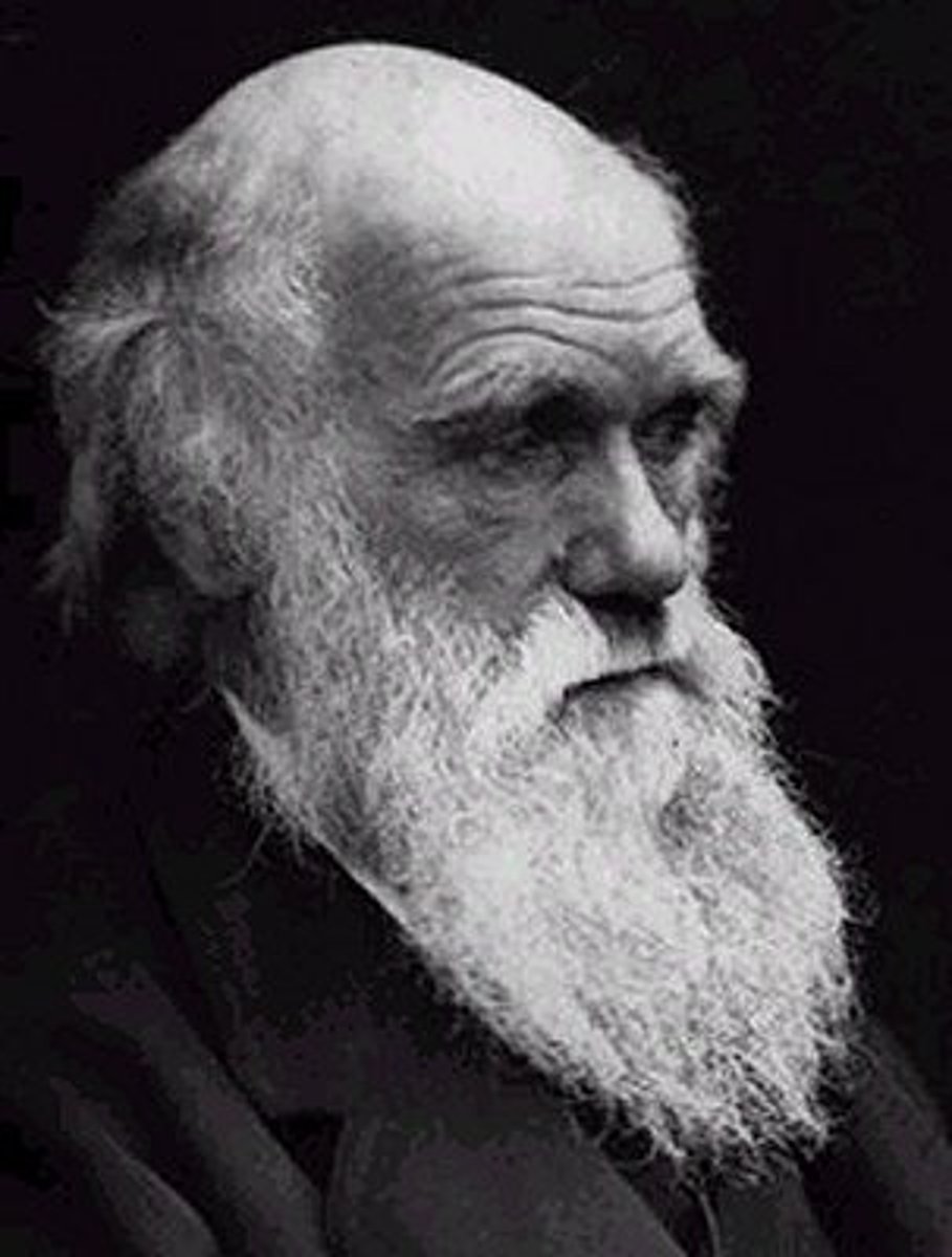 <p>- studied the plants and animals of South America and the Pacific islands, and in his book <em>On the Origin of Species by Means of Natural Selection</em> (1859) set forth his theory of evolution. He was an English naturalist in that he studied the relationships between organisms and their environments.</p>