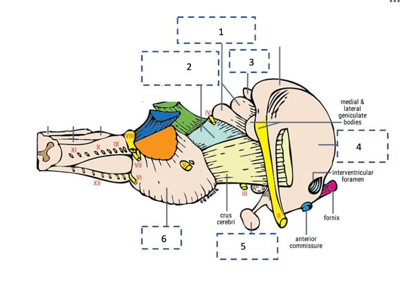 <p>4</p>