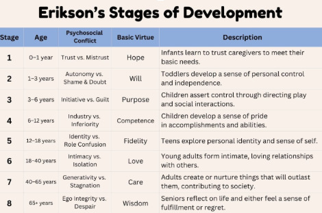 <p><span style="background-color: transparent;"><span>The creator of the main stages of the development theory that look at what challenges/mindsets each stage of development has.</span></span></p><p></p>