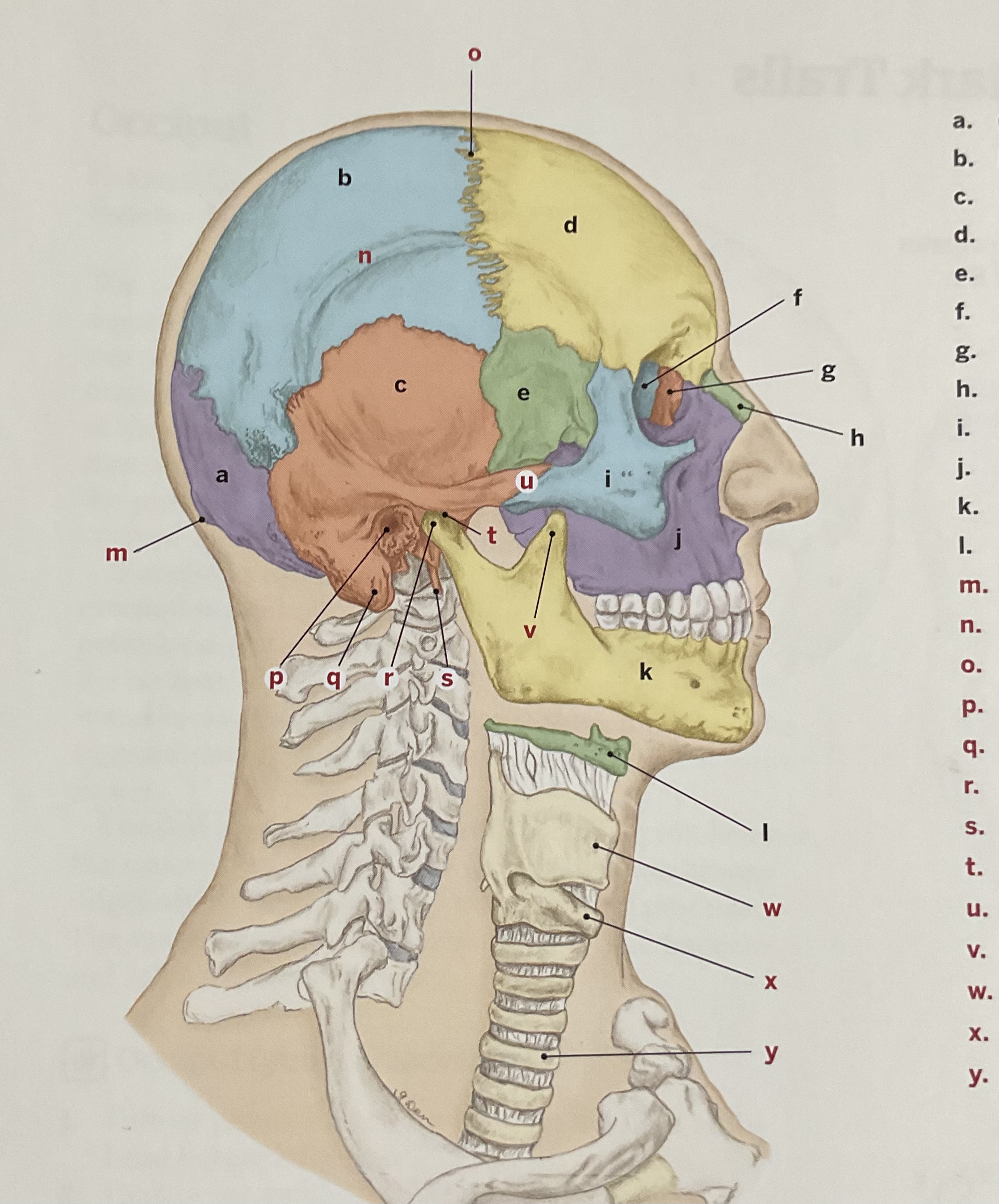 <p>A</p>
