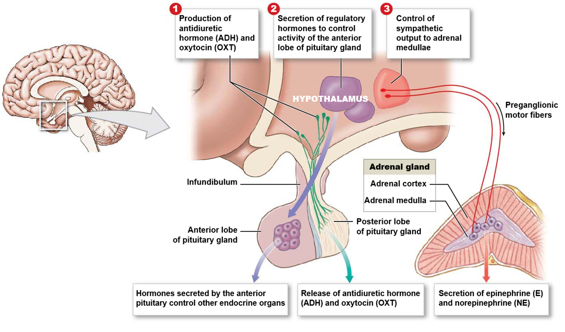 What is this and can you describe it?