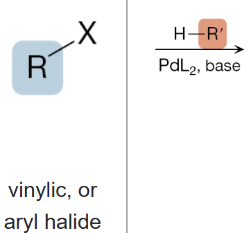 <p>What is the product of the reaction between a vinylic or aryl halide, and H-R’ (1st step), and PdL2, base (2nd step)?</p>