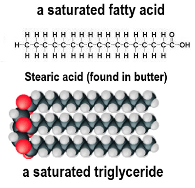 <p>This is because the <strong>fatty acid</strong> tails are <strong>straight</strong> and <strong>can pack closely together</strong>. Stronger forces of attraction can form which means more <strong>energy is needed to break the bonds</strong> and melt the fat</p>