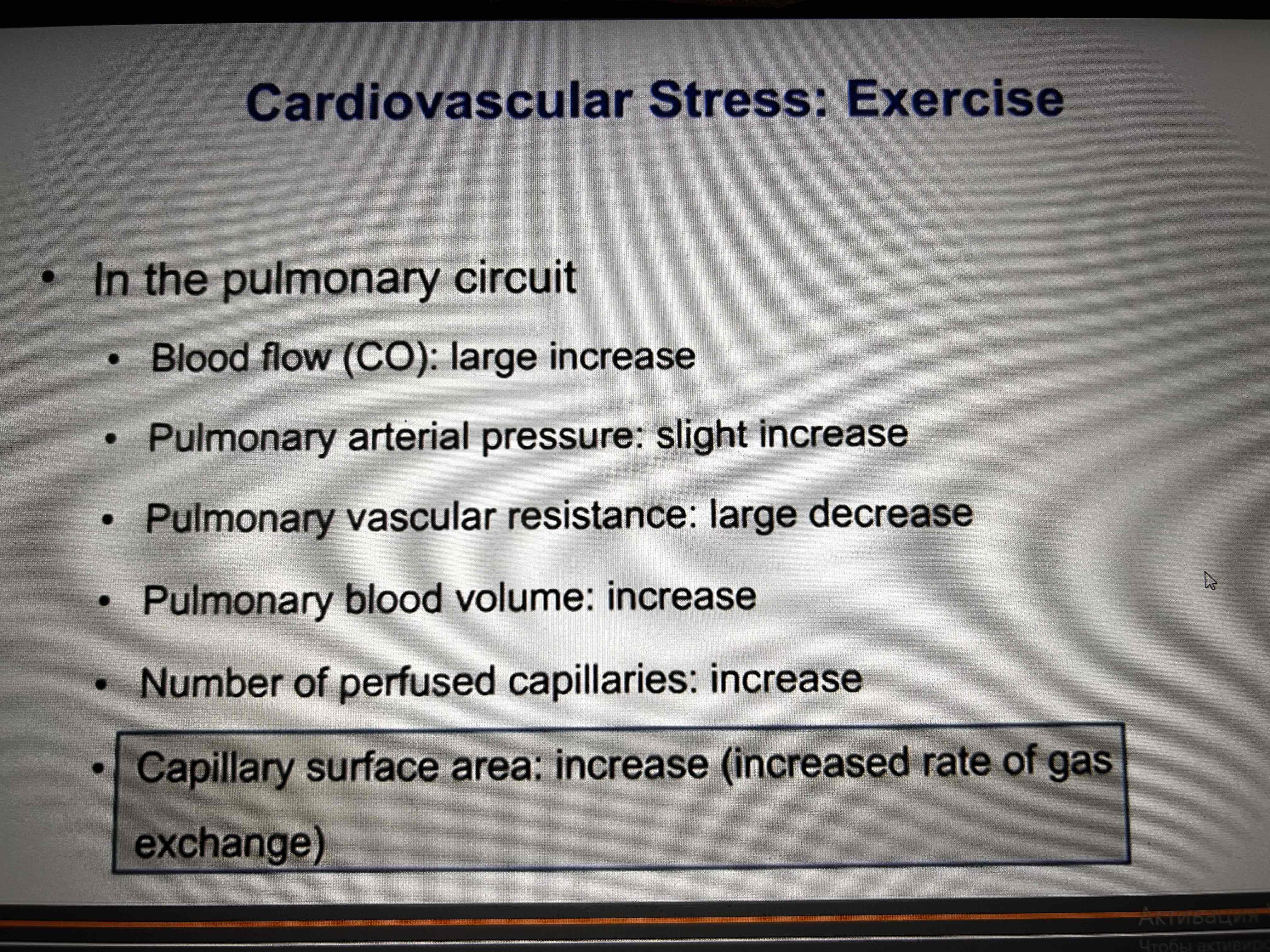<p>In the arterial system:</p><ol><li><p>PO2 normal, Hb fully saturated </p></li><li><p>PCO2 normal</p></li><li><p>Oh stable or decrease due to production of lactic acid</p></li><li><p>MAP slight increase </p></li><li><p>Temperature slight increase </p></li><li><p>TPR large decrease, dilation of the skeletal muscle </p><p></p></li></ol>