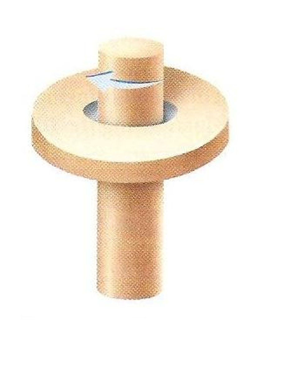 <p>a freely moving joint in which movement is limited to rotation</p>