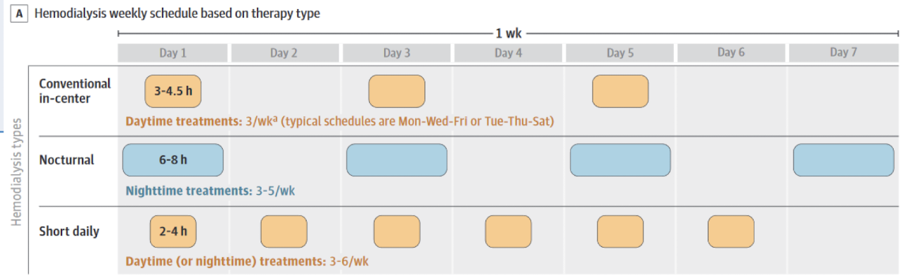<p>interval and duration of HD</p><ul><li><p>3-6x/week</p></li><li><p>some patients can do nocturnal HD</p></li></ul><p></p>
