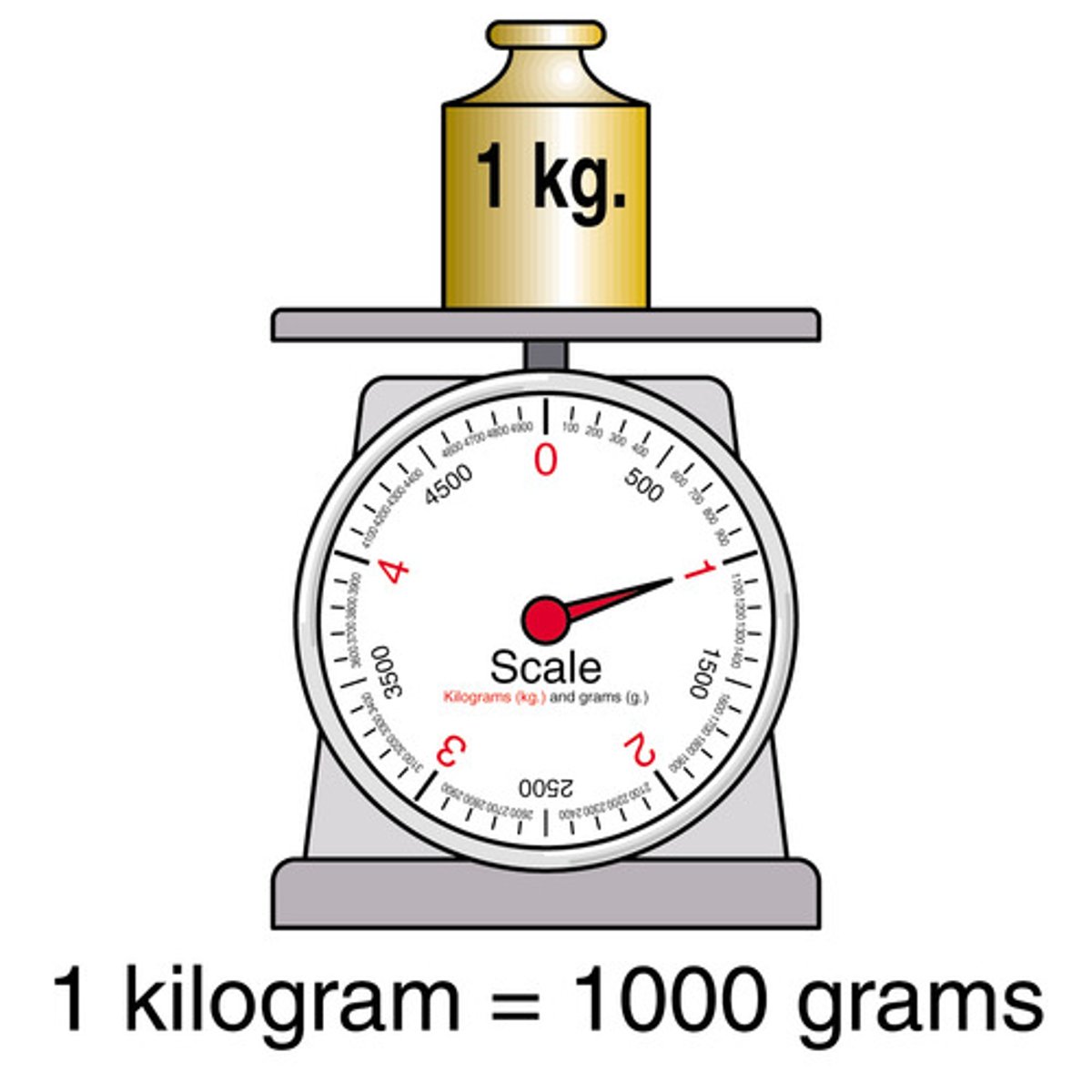 <p>kilogram</p>