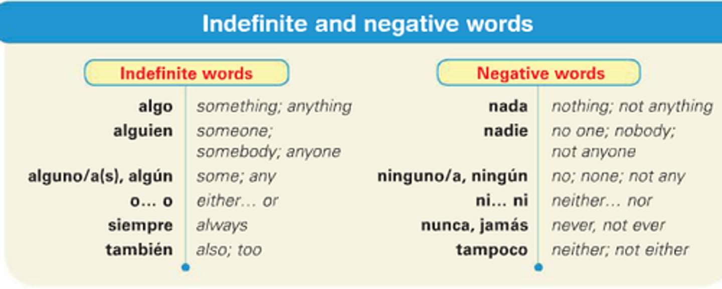 <p>Use the correct negative word (CH 7)</p>