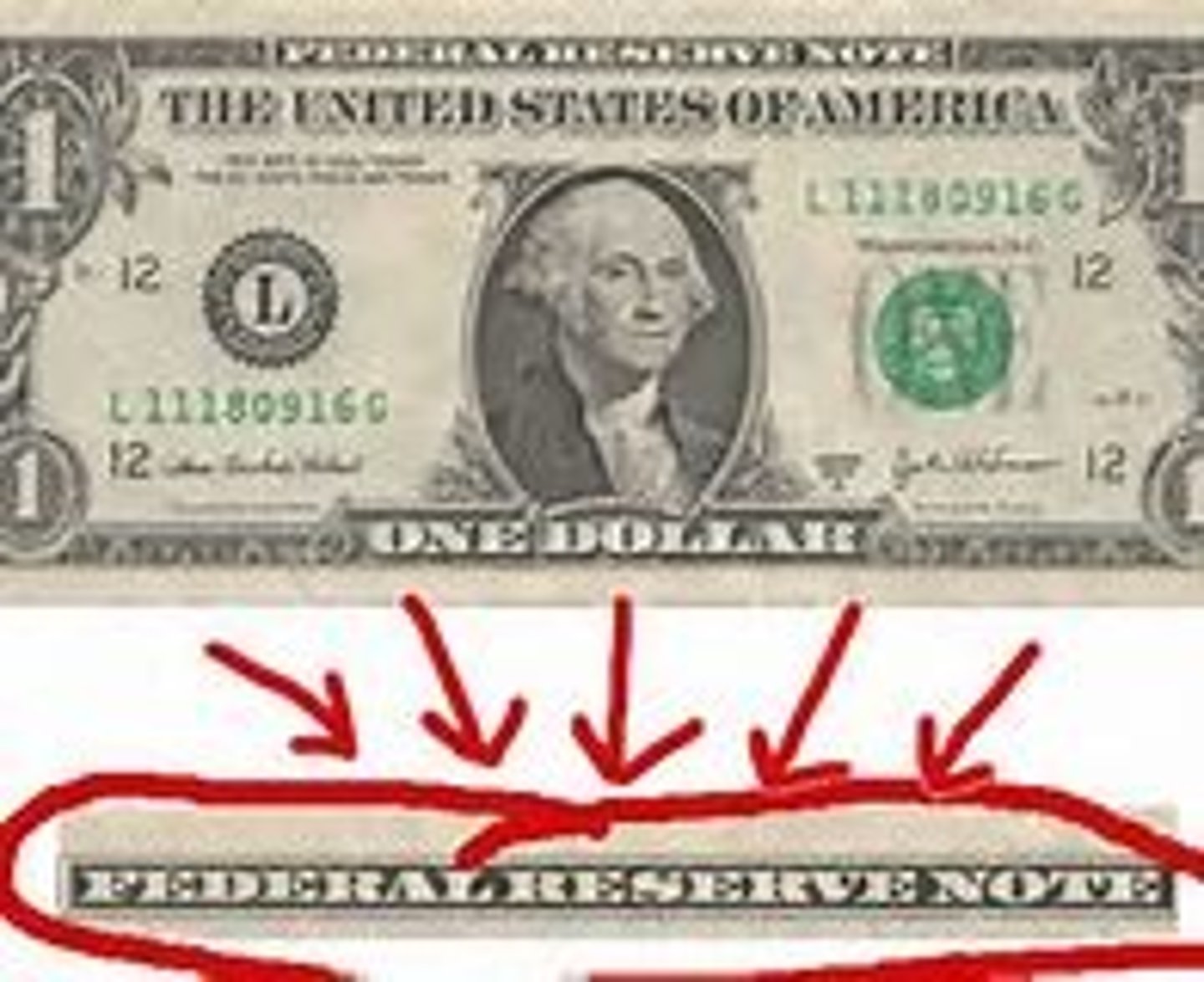 <p>paper currency issued by the Fed that eventually replaced all other types of federal currency</p>