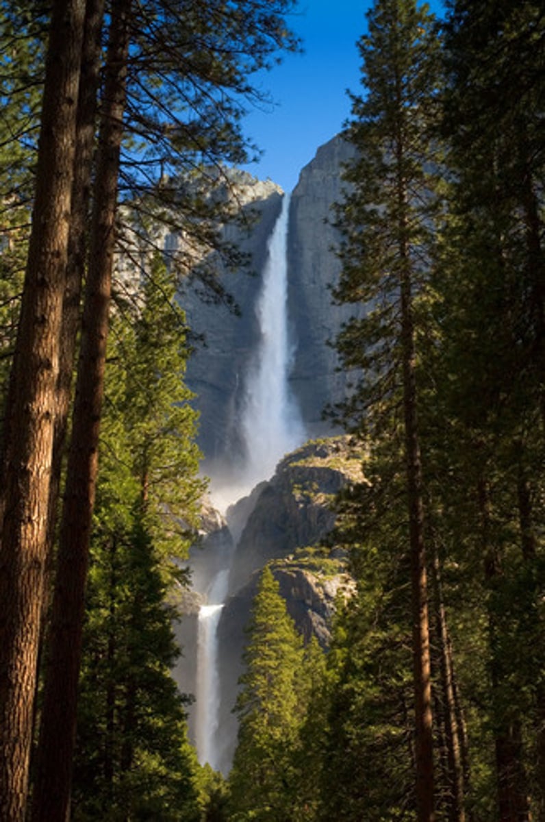 <p>(1838-1914) Naturalist who believed the wilderness should be preserved in its natural state. He was largely responsible for the creation of Yosemite National Park in California. A leading founder of the Sierra Club in 1892, went a step further and aimed to preserve natural areas from human interference. Preservationists.</p>