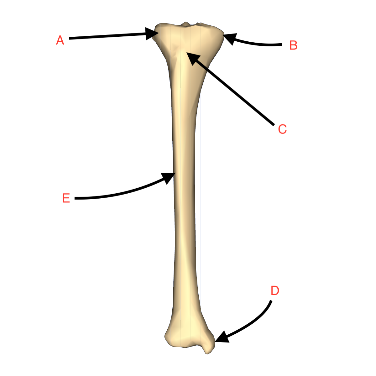 <p>What is C?</p>