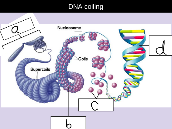 <p>Label the diagram</p>