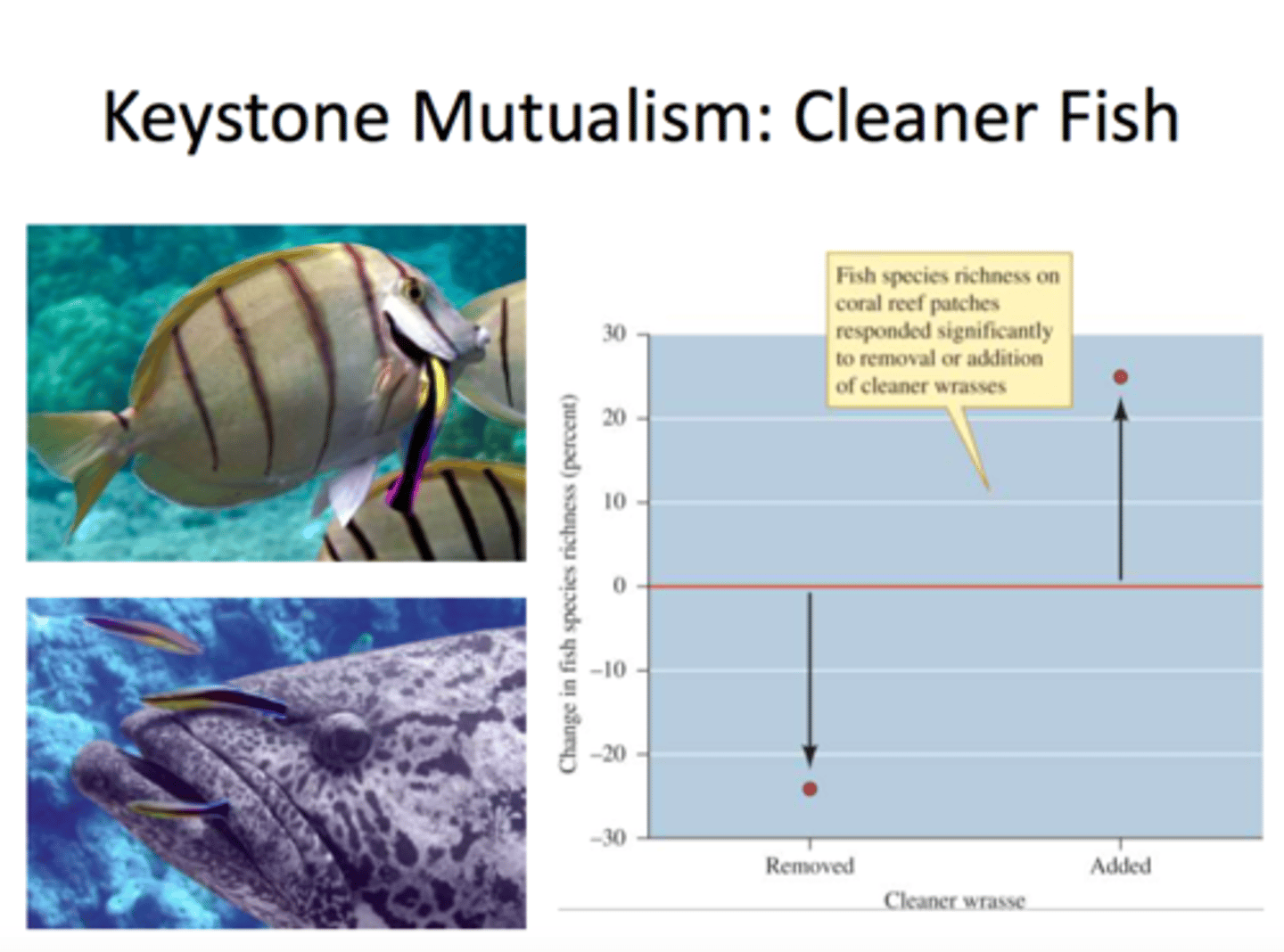 <p>- Mutualists can act as keystone species.•</p><p>- Keystone species have high impact on community structure, despite low biomass</p>