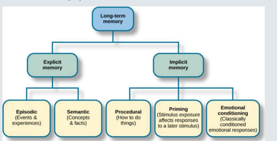 <p><strong>Explicit memory</strong></p><ul><li><p>Episodic</p></li><li><p>Semantic</p></li></ul><p><strong>Implicit memory</strong></p><ul><li><p>Procedural</p></li><li><p>Priming</p></li><li><p>Emotional conditioning </p></li></ul>