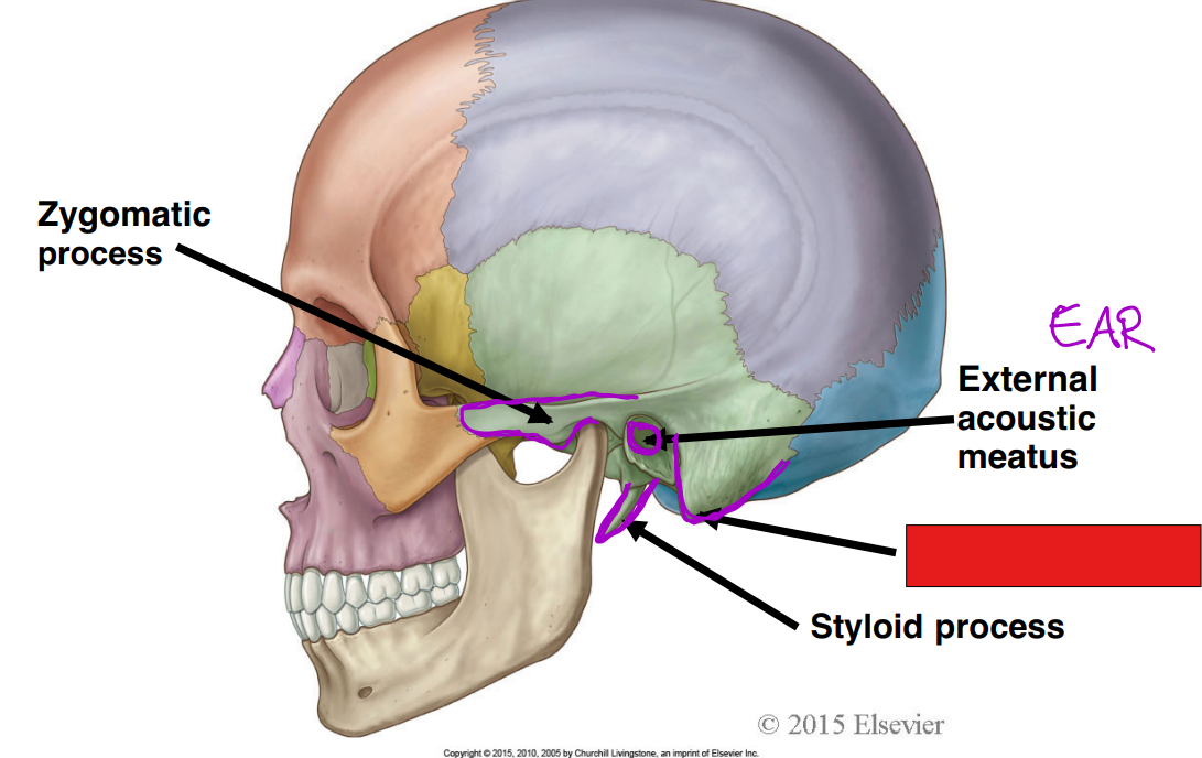 <p>Fill in the red box:</p>