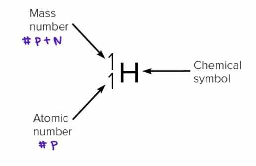 <ul><li><p># of protons in the nucleus</p></li><li><p>Elements distinguished by atomic #</p></li><li><p># of protons = # of electrons in <strong>neutral</strong> atoms</p></li></ul><p></p>