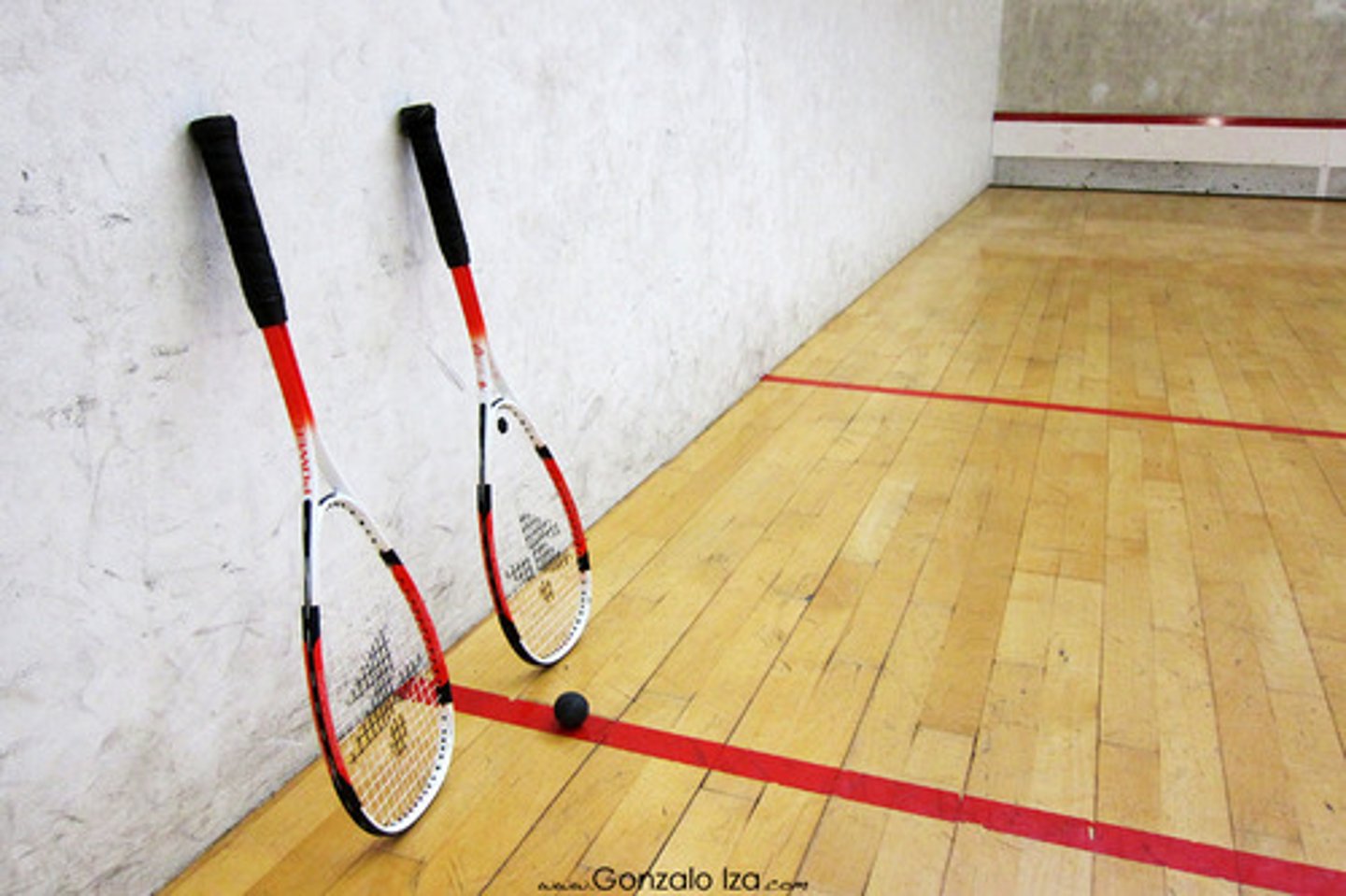 <p>to play squash</p>