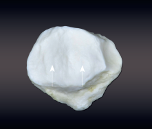 <p>small, nearly flat surface</p>
