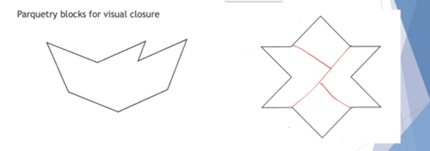 <p>pt has to fill out the shapes that you give them to make the image</p>