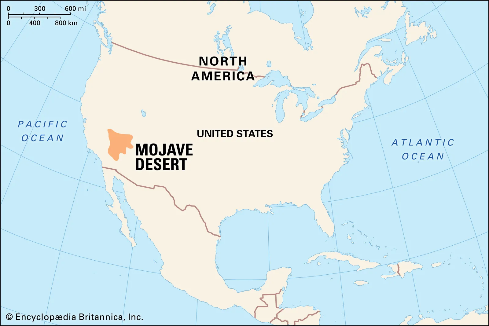 <p>driest desert in North America, its <strong>xerophytic vegetation</strong></p>