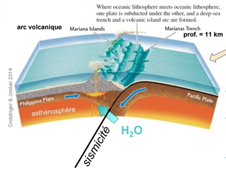 <p><span style="font-family: "Calibri", sans-serif;"><span>-</span></span><span style="font-family: "Times New Roman"; line-height: normal; font-size: 7pt;"><span>&nbsp;&nbsp;&nbsp;&nbsp;&nbsp;&nbsp;&nbsp;&nbsp;&nbsp; </span></span>Fosse océanique profonde</p><p class="MsoListParagraphCxSpMiddle"><span style="font-family: "Calibri", sans-serif;"><span>-</span></span><span style="font-family: "Times New Roman"; line-height: normal; font-size: 7pt;"><span>&nbsp;&nbsp;&nbsp;&nbsp;&nbsp;&nbsp;&nbsp;&nbsp;&nbsp; </span></span>Magma résulte de la fusion du manteau asthénosphérique induite par l'eau de la plaque subduite</p><p class="MsoListParagraphCxSpMiddle"><span style="font-family: "Calibri", sans-serif;"><span>-</span></span><span style="font-family: "Times New Roman"; line-height: normal; font-size: 7pt;"><span>&nbsp;&nbsp;&nbsp;&nbsp;&nbsp;&nbsp;&nbsp;&nbsp;&nbsp; </span></span>Formation d’un arc insulaire volcanique et d’une fosse avant-arc</p><p class="MsoListParagraphCxSpMiddle"><span style="font-family: "Calibri", sans-serif;"><span>-</span></span><span style="font-family: "Times New Roman"; line-height: normal; font-size: 7pt;"><span>&nbsp;&nbsp;&nbsp;&nbsp;&nbsp;&nbsp;&nbsp;&nbsp;&nbsp; </span></span>Les magmas résultent de la fusion du manteau asthénosphérique induite par l’eau de la plaque subduite</p><p class="MsoListParagraphCxSpLast"><span style="font-family: "Calibri", sans-serif;"><span>-</span></span><span style="font-family: "Times New Roman"; line-height: normal; font-size: 7pt;"><span>&nbsp;&nbsp;&nbsp;&nbsp;&nbsp;&nbsp;&nbsp;&nbsp;&nbsp; </span></span>Nombreux séismes le long du plan de Wadati-Benioff (jusqu’à 700 km de prof.)</p>