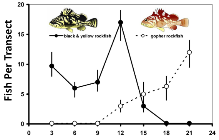 <p><span><span>The process where different species divide limited resources to minimize competition, allowing them to coexist in the same environment</span></span></p>