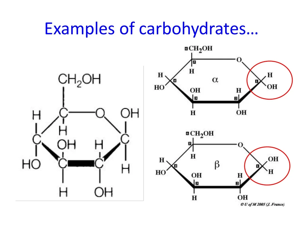 <p>a macromolecule that provides energy</p>