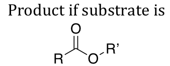 <p>NaBH4 Reduction Product</p><p>ester substrate</p>
