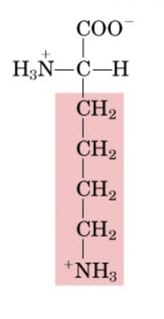 <p>What’s this aminoacid?</p>