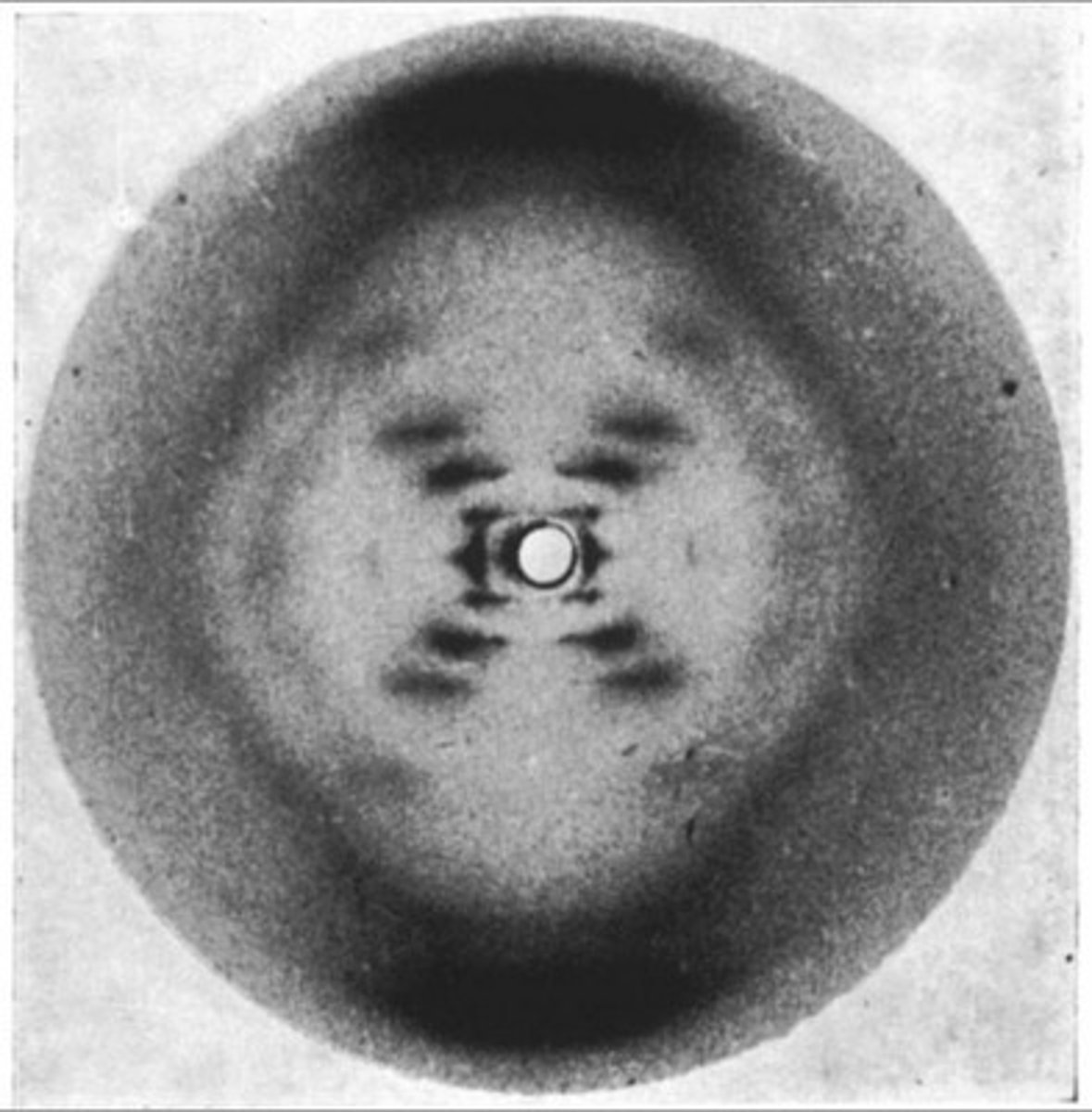 <p>Franklin used her X-Ray Crystallography image of wet DNA to outline the double strand, helical shape of DNA and the number of nucleotides per turn.</p>