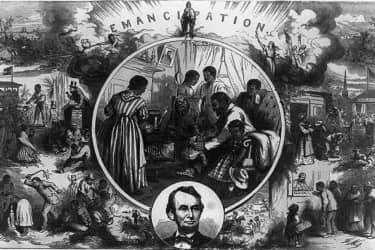 <p>Which of the following factors contributed most directly to the end of slavery in the United States?</p>
