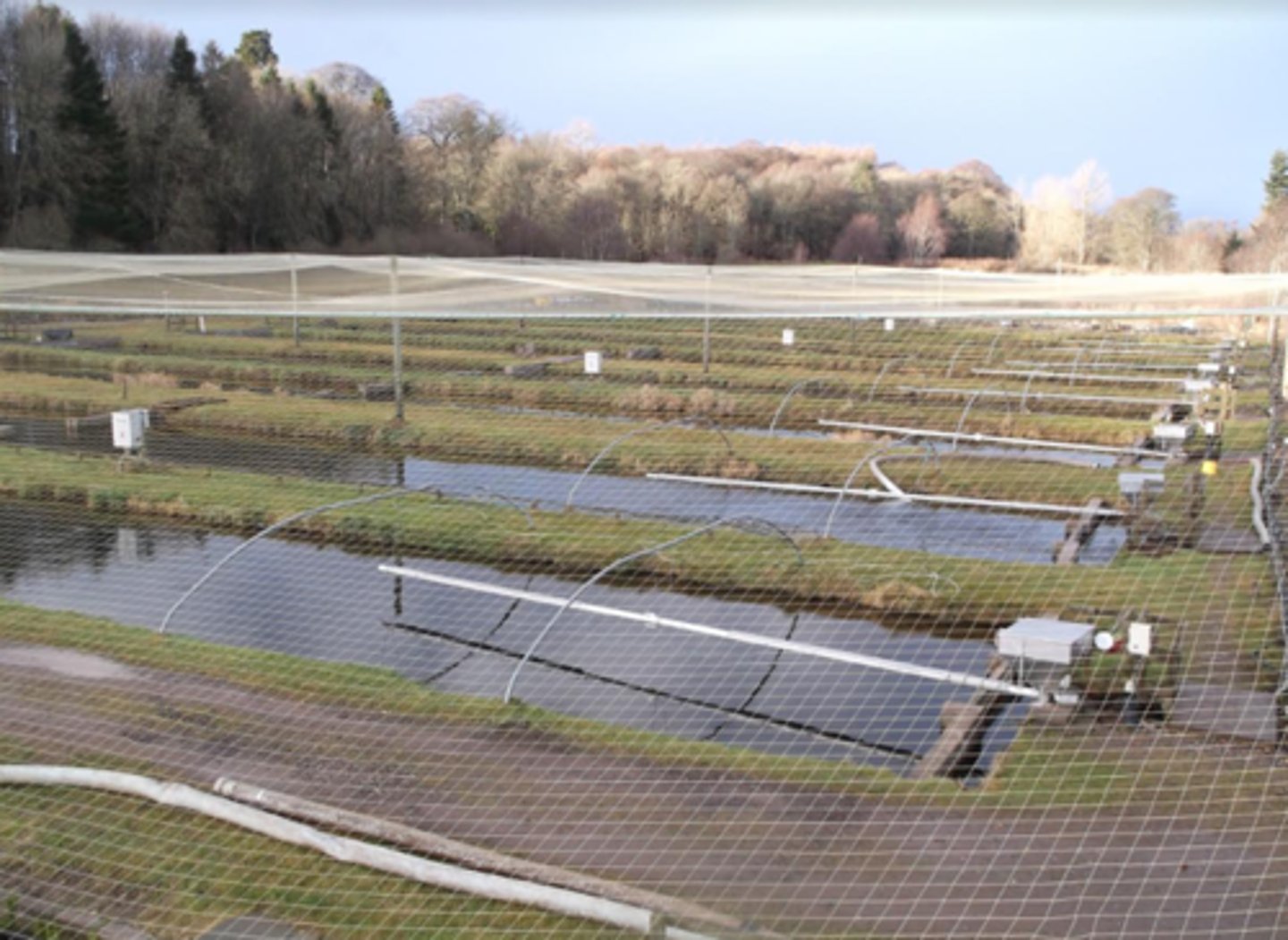 <p>- Enclosed water areas</p><p>- Most commonly used</p><p>- Least intense</p><p>- Rely on natural processes to remove waste and supply oxygen</p>