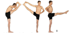 <p>What Pose Is This?</p>