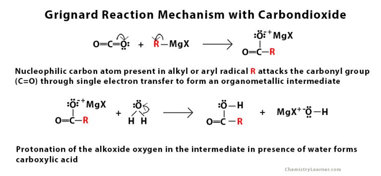 <ul><li><p>forms a carboxylic acid</p></li></ul><p></p>
