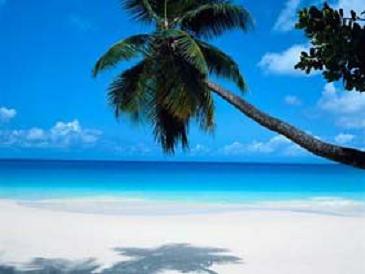 The type of beach built up by a constructive wave.