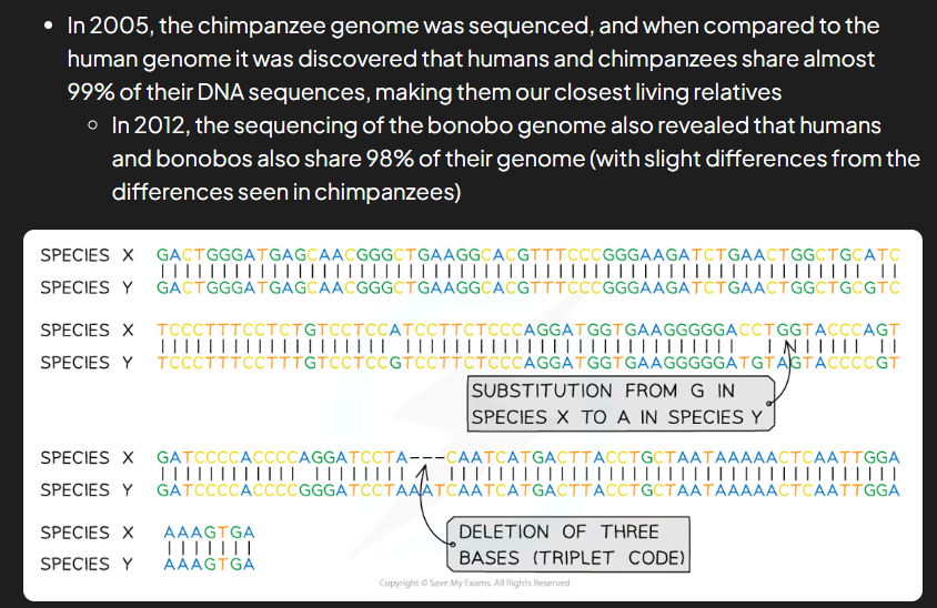 <ul><li><p>dna extracted from nuclei of cells taken from org (can be from blood or skin or fossils)</p></li><li><p>extracted dna processed, analysed, base sequence obtained</p></li><li><p>base sequence is compared to that of other orgs determine evolutionary relationships (more similarities in dna = more closely related diff species)</p></li></ul><p></p>