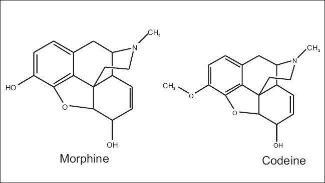 <ul><li><p><strong>METHYLMORPHINE - morphine’s OH → CH3</strong></p></li><li><p><strong>Methylation of morphine</strong></p></li></ul>