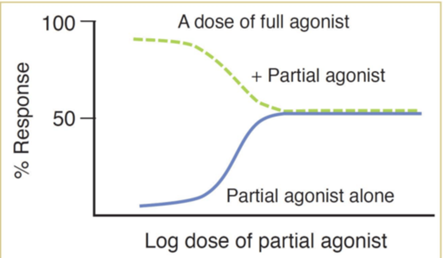 <p>antagonist </p><p>(upper curve on graph shows effect of increasing doses of the partial agonist on the maximal response (100% achieved) in the presence of or by pretreatment of full agonist)</p>