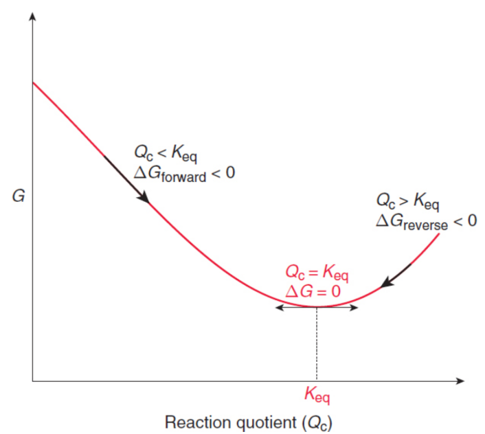 <p>measure of the change in the enthalpy and the change in entropy as a system undergoes a process; indicates whether a reaction is spontaneous or nonspontaneous; maximum amount of energy released by a process—occurring at constant temperature and pressure—that is available to perform useful work</p><p>ΔG = ΔH – TΔS</p><p>where T is the temperature in kelvin and TΔS represents the total amount of energy that is absorbed by a system when its entropy increases reversibly</p>