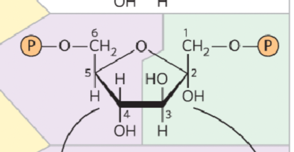 <p>What structure is this?</p>