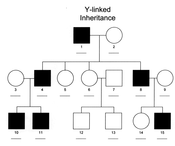 <p>Male offspring inherit their father's<span><strong> Y-chromosome</strong></span>, so any alleles carried on this chromosomes will be passed from father to son. Females are never affected because they never inherit a Y chromosome. Trait is observed in every generation from father to sons</p>